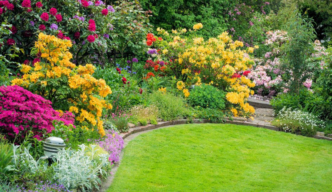 Hay Fever in Adults: What Causes it to Change?